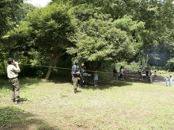 ビーバー隊の通信兵の養成の活動写真