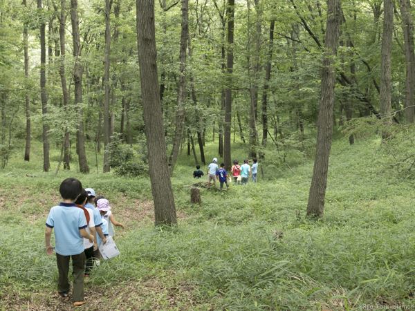 ビーバー隊の通信兵の養成の活動写真