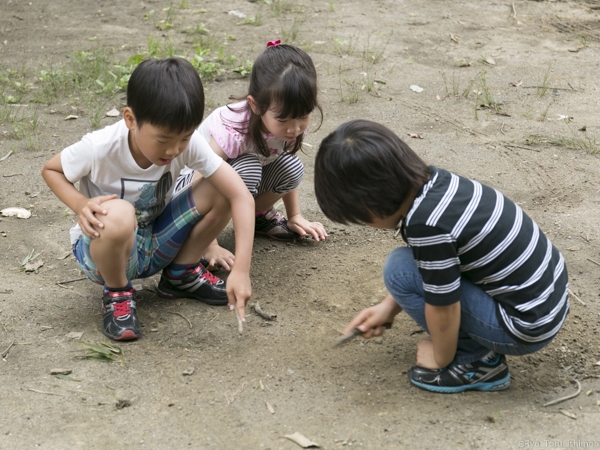 流しそうめん活動写真