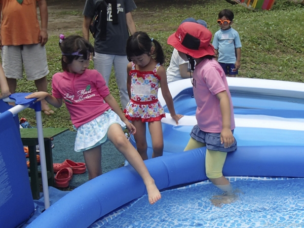 夏プール活動写真