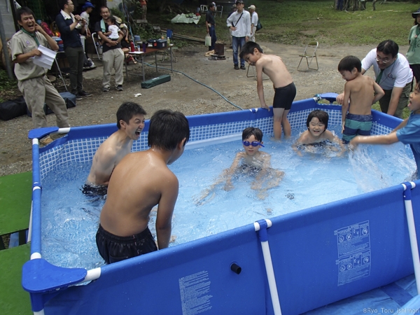 夏プール活動写真