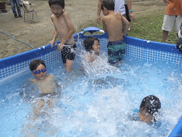 夏プール活動写真