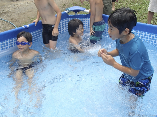 夏プール活動写真