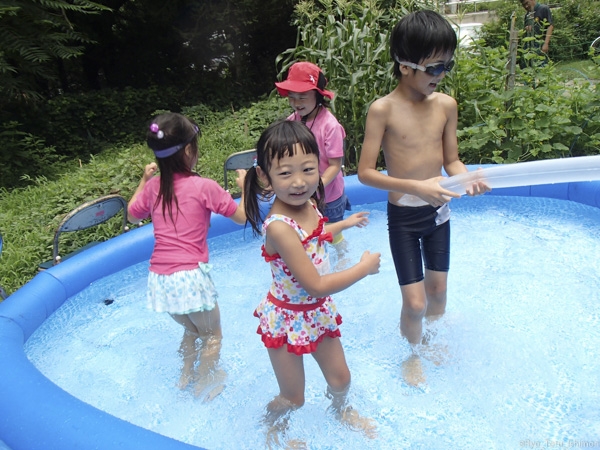 夏プール活動写真