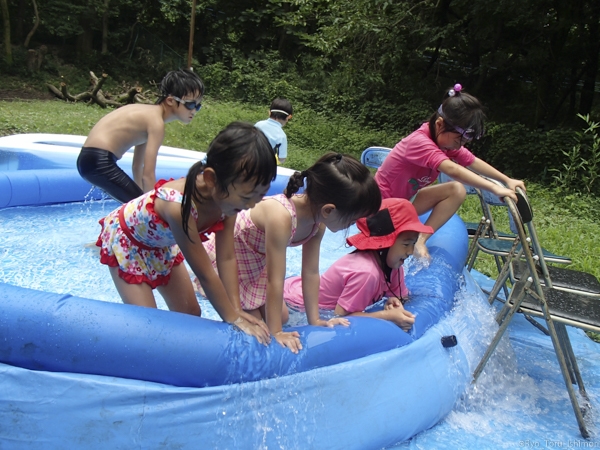 夏プール活動写真