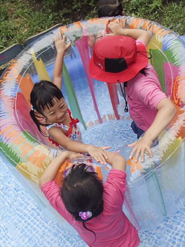 夏プール活動写真