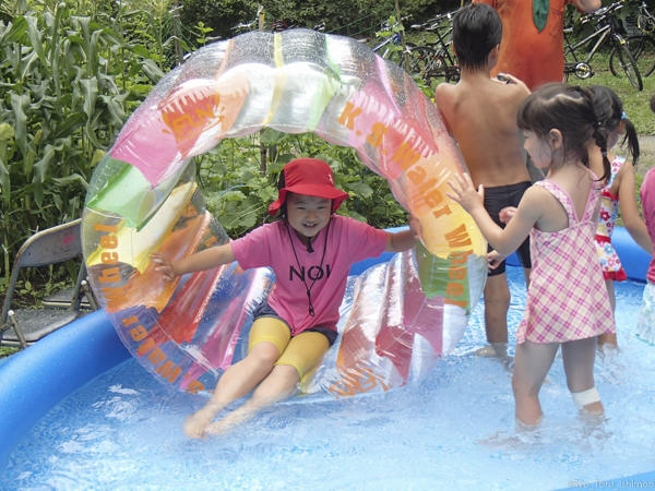 夏プール活動写真