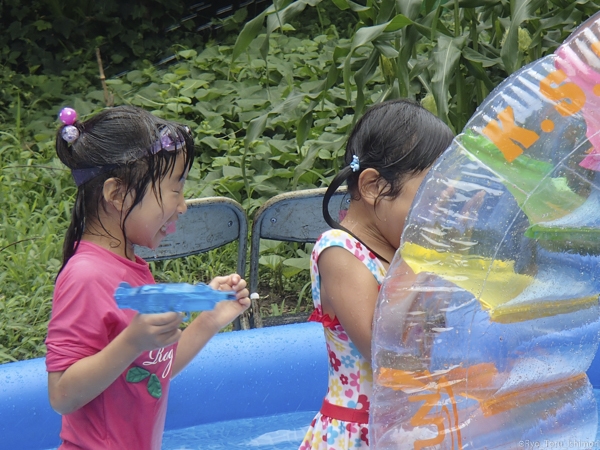 夏プール活動写真