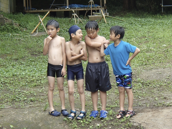 夏プール活動写真