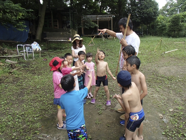 夏プール活動写真