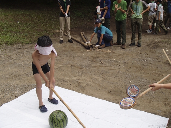 夏プール活動写真