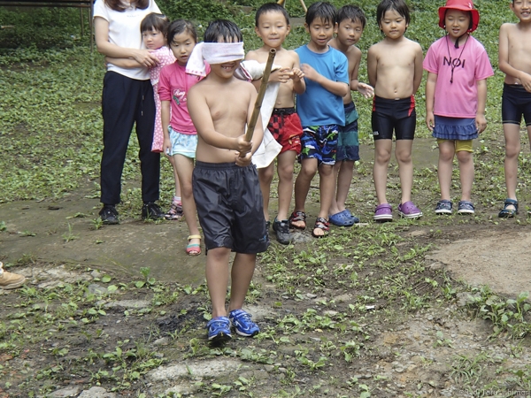 夏プール活動写真