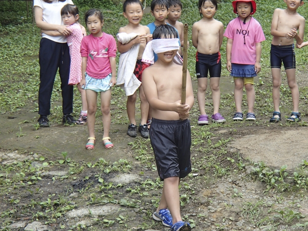 夏プール活動写真