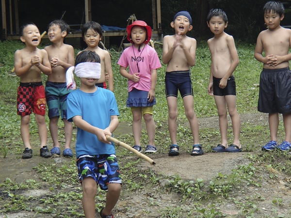 夏プール活動写真