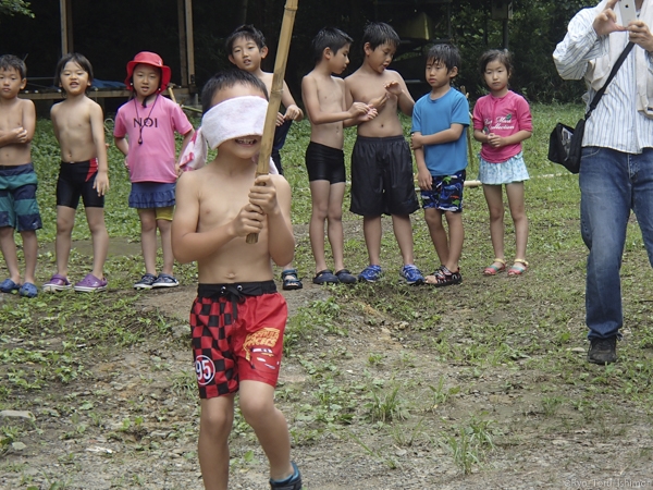 夏プール活動写真