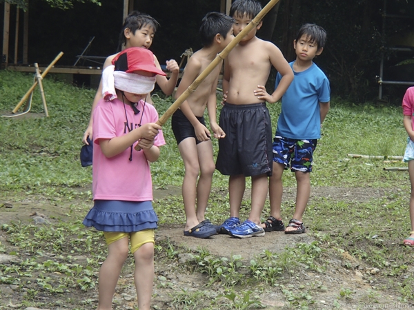 夏プール活動写真