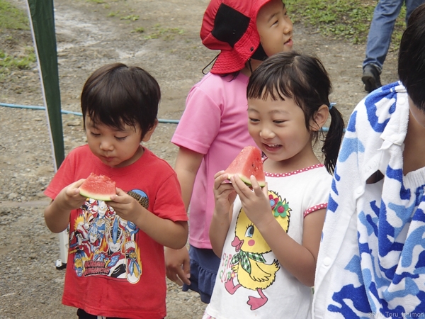 夏プール活動写真