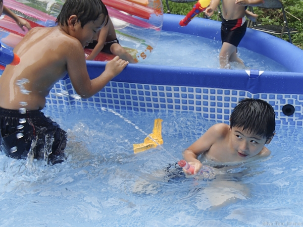 夏プール活動写真