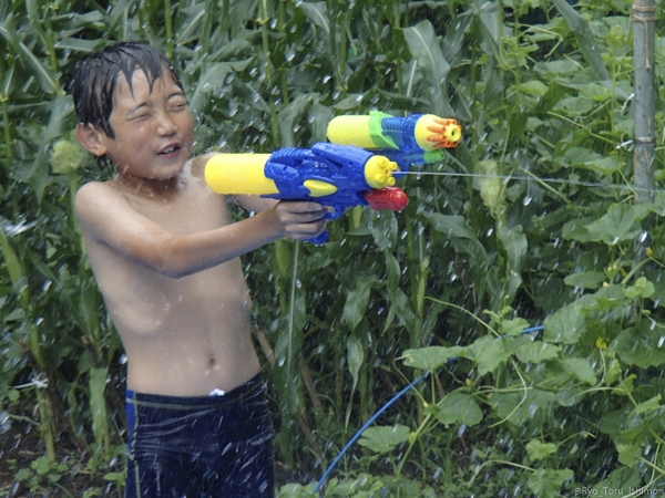 夏プール活動写真