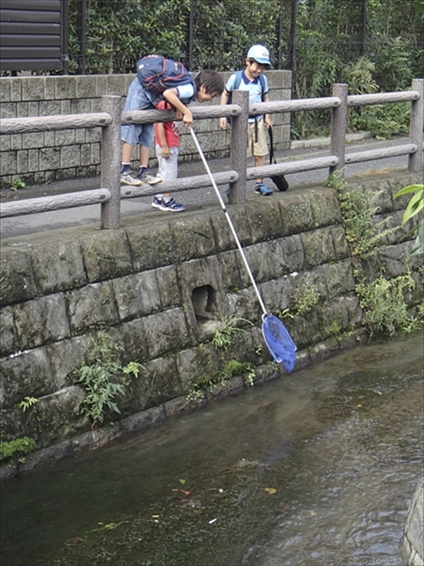 2016年浅川のゴミ拾い