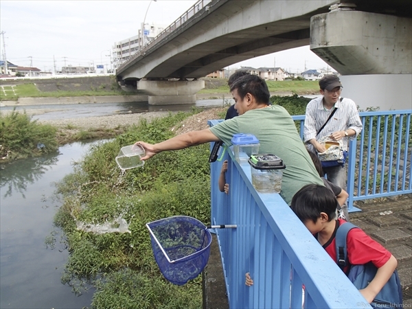 2016年浅川のゴミ拾い