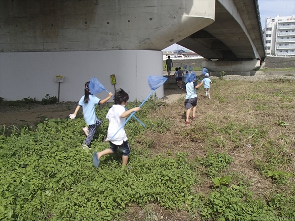 2016年浅川のゴミ拾い