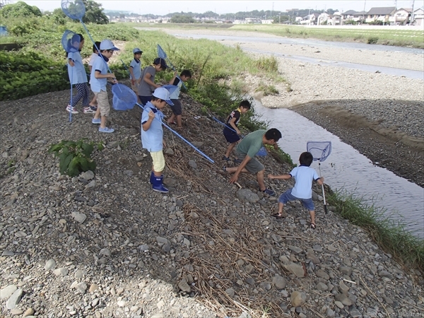 2016年浅川のゴミ拾い