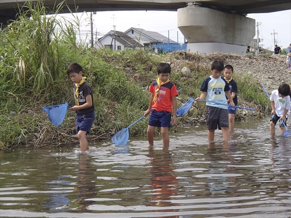 2016年浅川のゴミ拾い