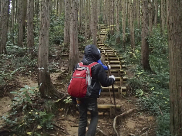 弁天山ハイキング写真