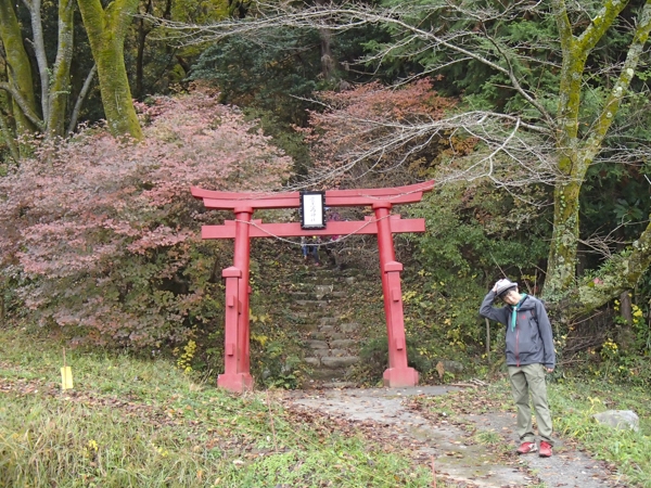 弁天山ハイキング写真