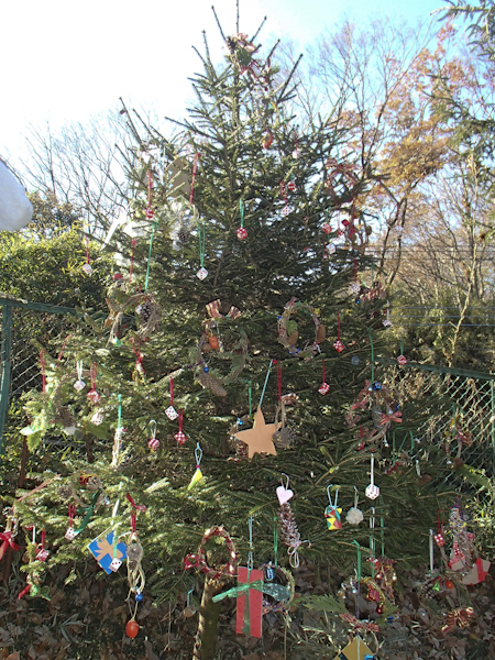 2016年の合同クリスマス会写真