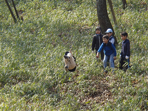 日野２団ビーバー隊活動写真その19