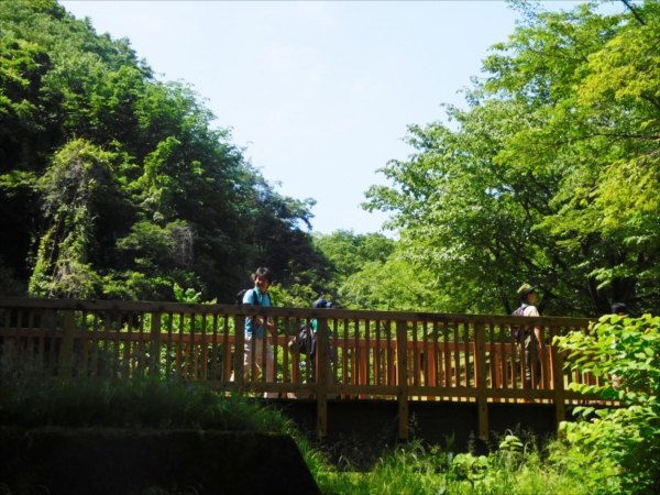 日野２団ビーバー隊活動写真その14