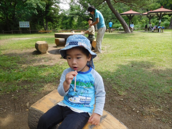 日野２団ビーバー隊活動写真その30