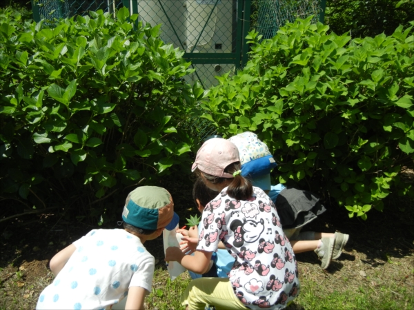 日野２団ビーバー隊活動写真その38