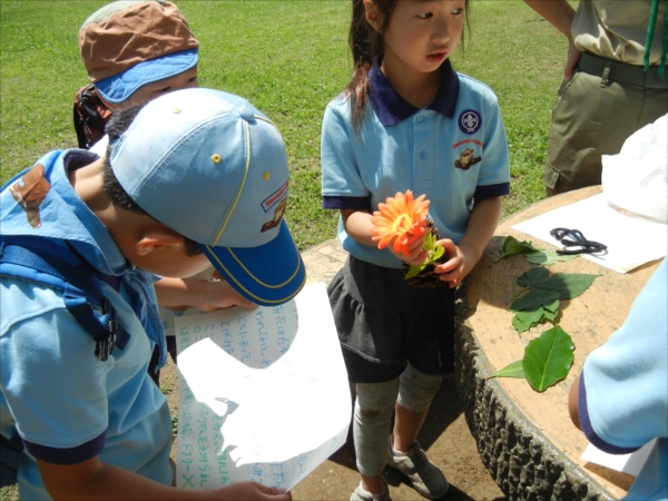 日野２団ビーバー隊活動写真その40