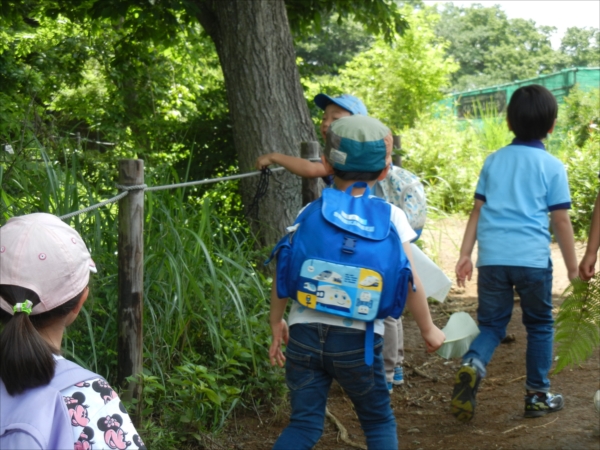 日野２団ビーバー隊活動写真その41