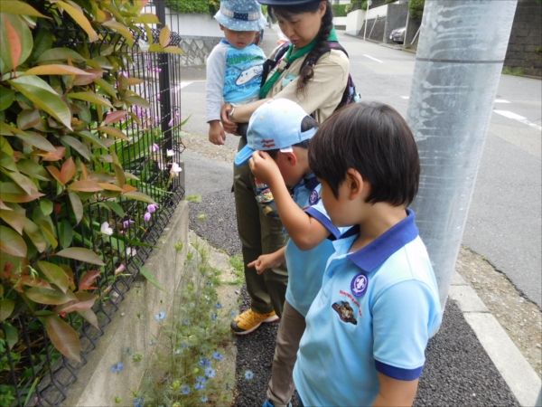 日野２団ビーバー隊活動写真その83