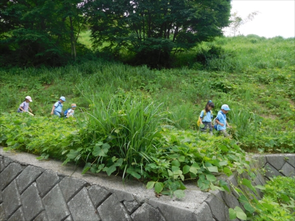 日野２団ビーバー隊活動写真その86