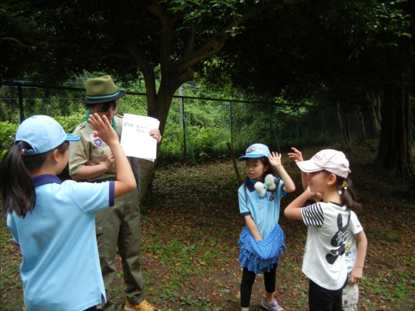 日野２団ビーバー隊活動写真その13