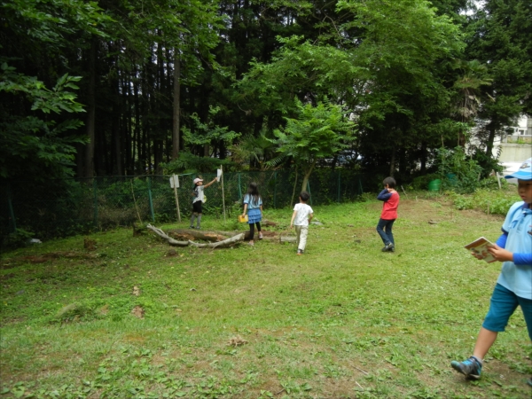 日野２団ビーバー隊活動写真その83