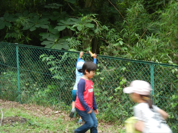 日野２団ビーバー隊活動写真その85