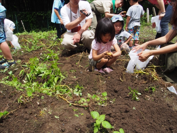 日野２団ビーバー隊活動写真その11