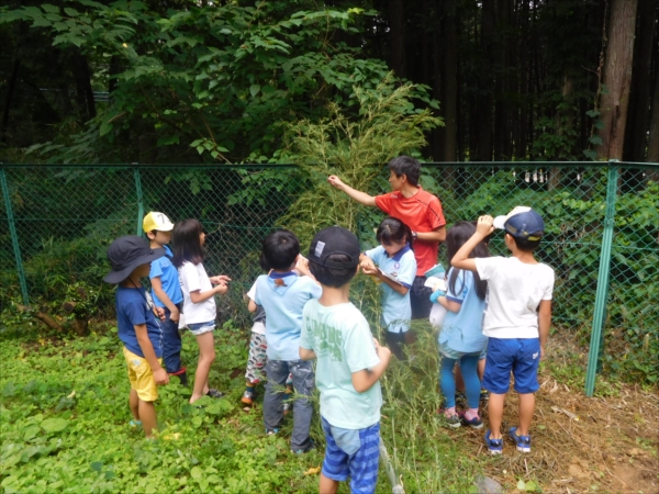 日野２団ビーバー隊活動写真その70