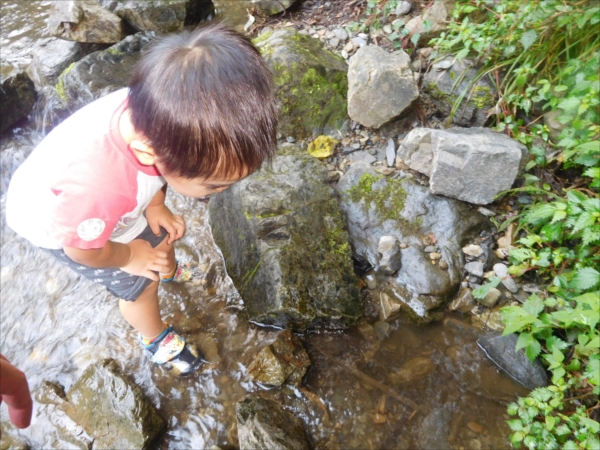 日野２団ビーバー隊活動写真その23