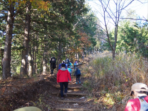 日野２団ビーバー隊活動写真その5