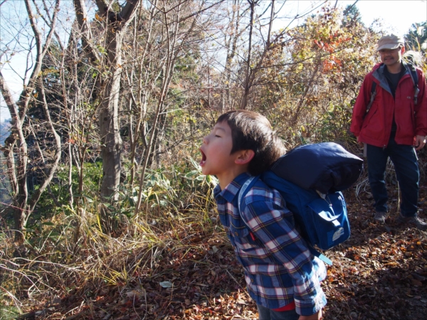 日野２団ビーバー隊活動写真その19