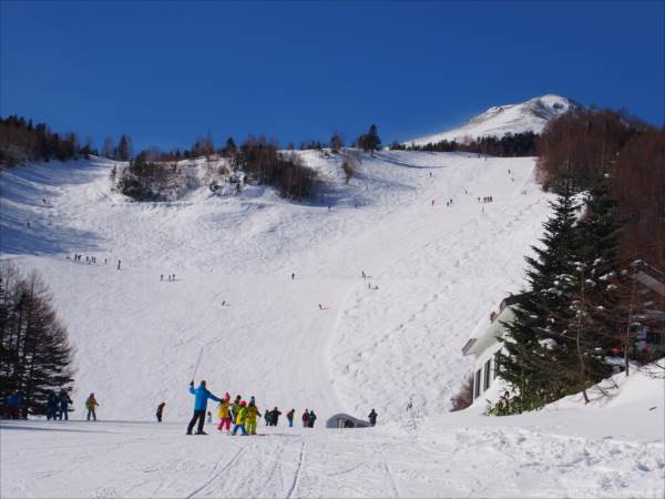 日野２団ビーバー隊活動写真その34