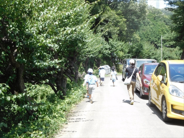 日野２団ビーバー隊活動写真その3