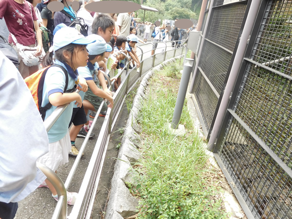 日野２団ビーバー隊活動写真その33